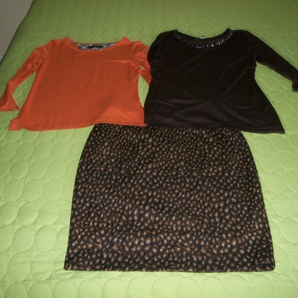 Amitié Brown Skirt/Yera Ochre Top/Banana Republic Brown Top
